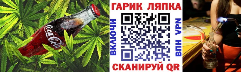 Canna-Cookies марихуана  гидра ТОР  Городец 