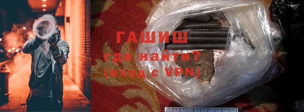 шишки Каменногорск