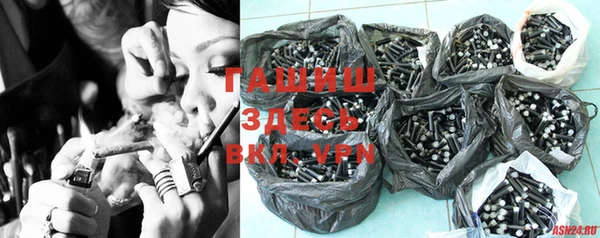 шишки Гусев